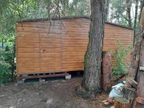 IMG 20230621 125650 (1)